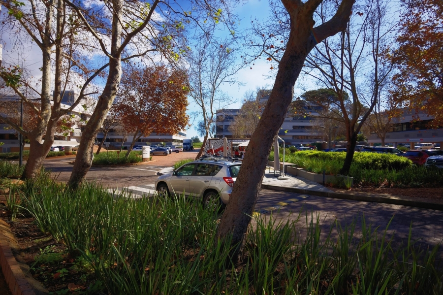 Commercial Property for Sale in Mowbray Western Cape